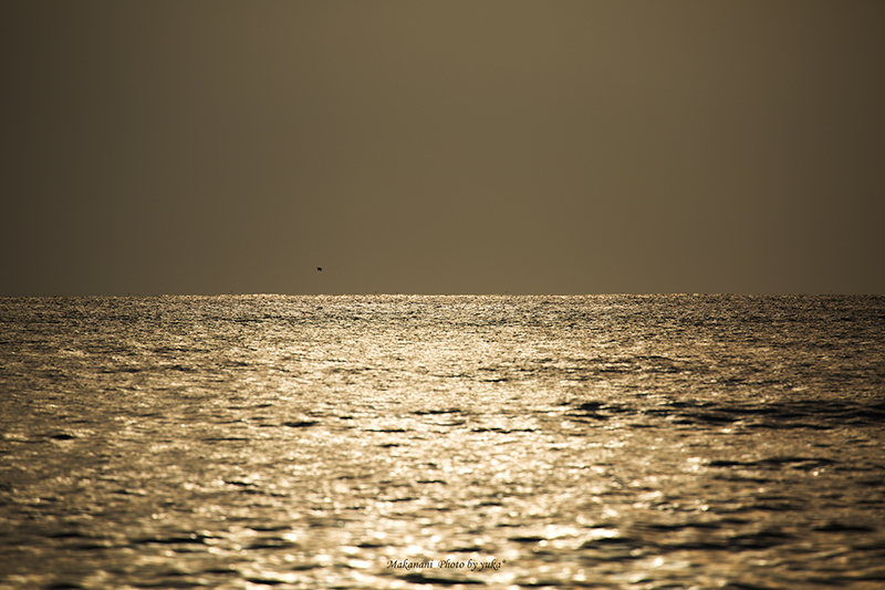 d0337539_17230281.jpg