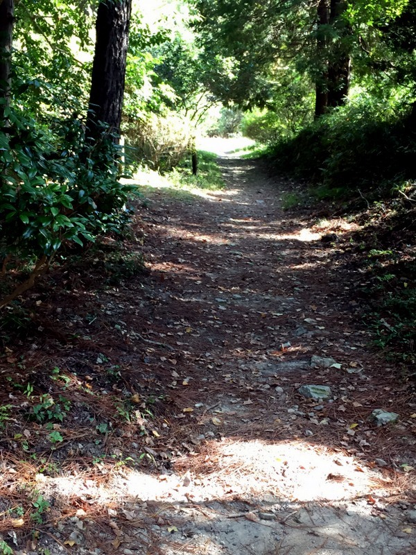 b0057140_20004283.jpg