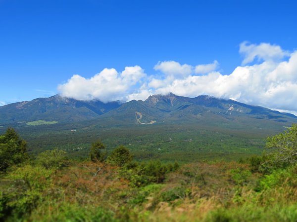 b0341140_16282916.jpg