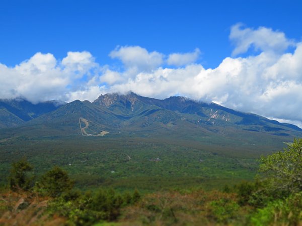 b0341140_16285942.jpg