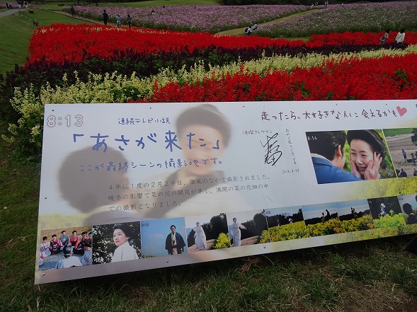 b0299042_2359560.jpg