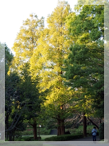 d0013149_00043147.jpg