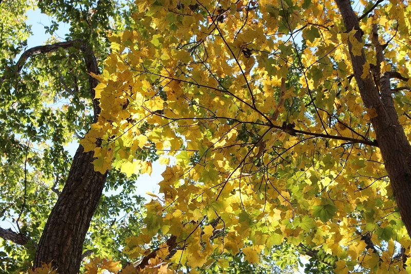 b0250154_07113139.jpg