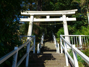 a0057057_16244584.png