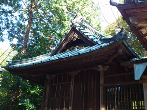 a0057057_1627125.png