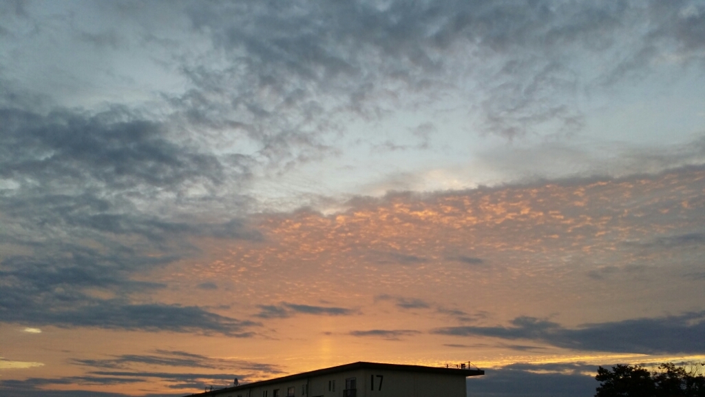 d0261061_06261864.jpg