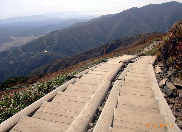 b0075364_10422777.jpg