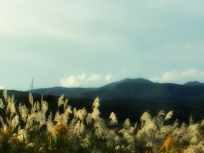 c0050264_22393663.jpg