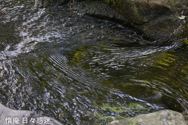 e0346064_18224025.gif
