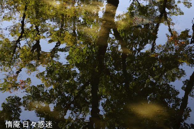 e0346064_18224051.gif