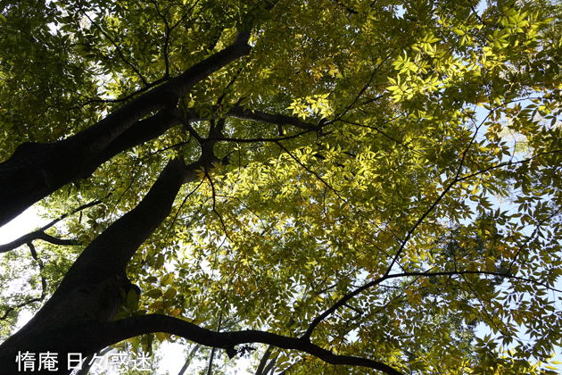 e0346064_18224184.gif