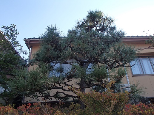 e0108765_2011343.jpg