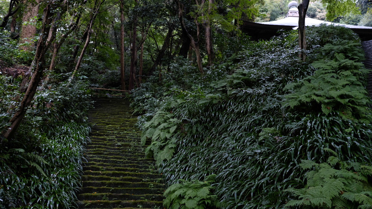 c0084666_11300710.jpg
