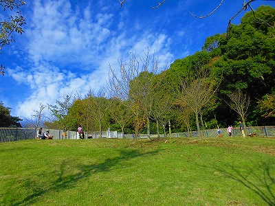 e0002466_17221480.jpg