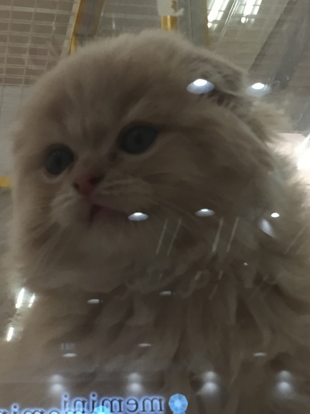 e0333569_14223778.jpeg