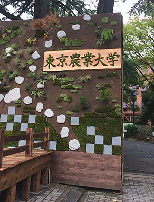 a0119470_235977.jpg