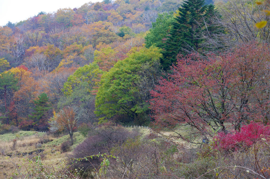 b0250470_17450186.jpg