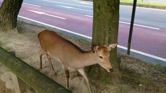 c0002171_22371277.jpg