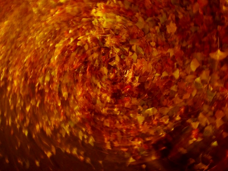 c0183777_7441681.jpg