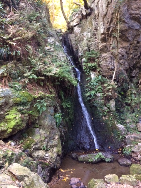 e0094589_203516.jpg