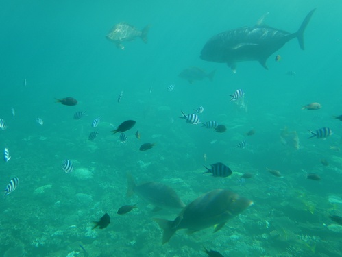 c0123890_15192379.jpg