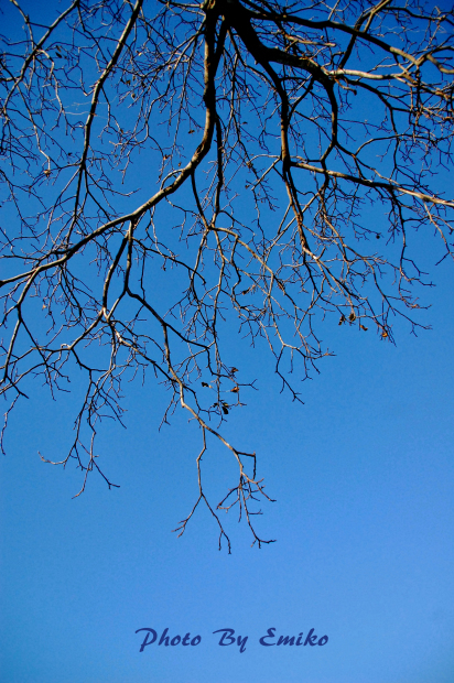 c0246290_23124265.jpg