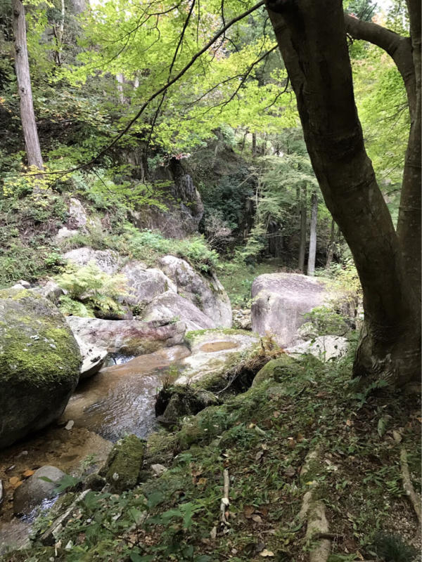 f0376195_20590285.jpg