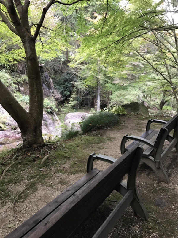 f0376195_20590480.jpg