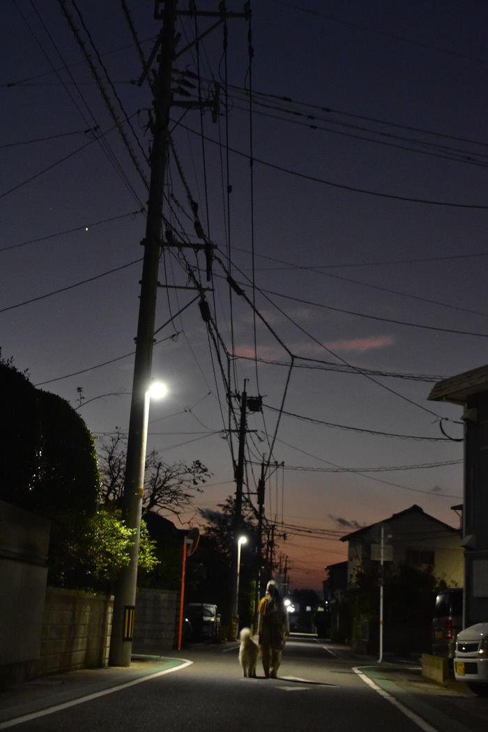 c0049299_22403780.jpg