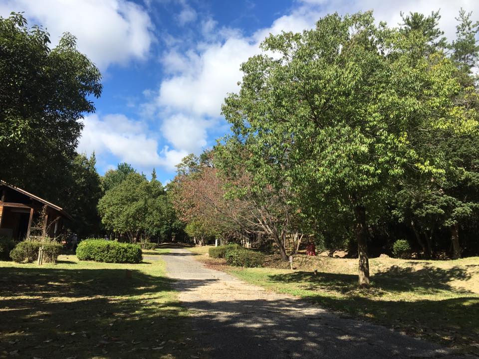 c0365602_922821.jpg