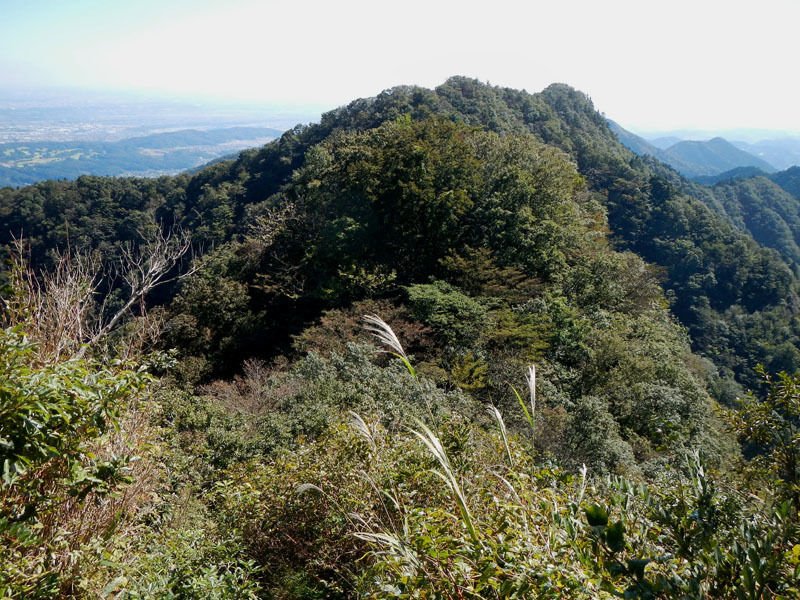 d0161702_19033268.jpg