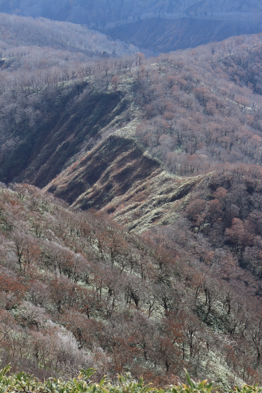 b0050305_21582570.jpg