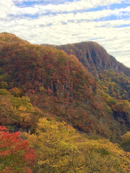 e0183106_11572289.jpg