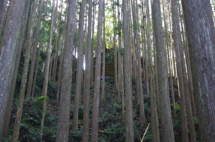 f0195813_22295743.jpg