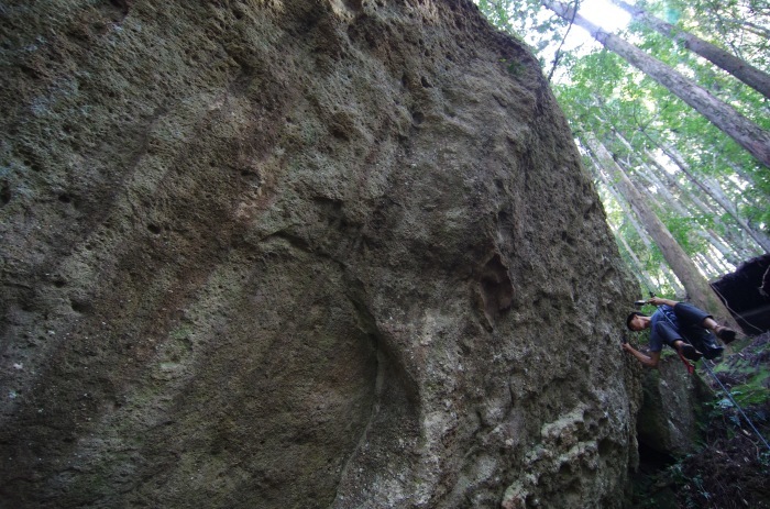 f0195813_22301543.jpg