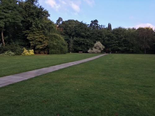 c0119515_20531750.jpg