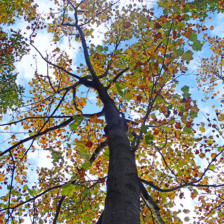 c0190915_18465347.jpg
