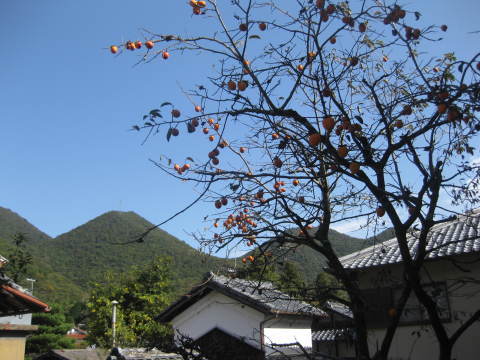 c0352015_22172268.jpg