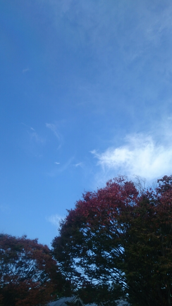 e0261315_12274753.jpg