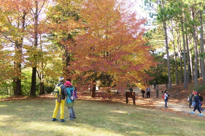 a0335421_08551065.jpg