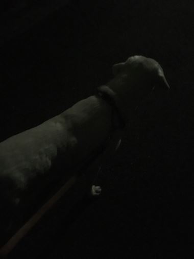 c0114121_940599.jpg