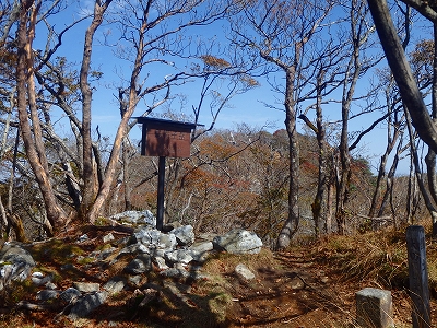 f0193521_1834594.jpg