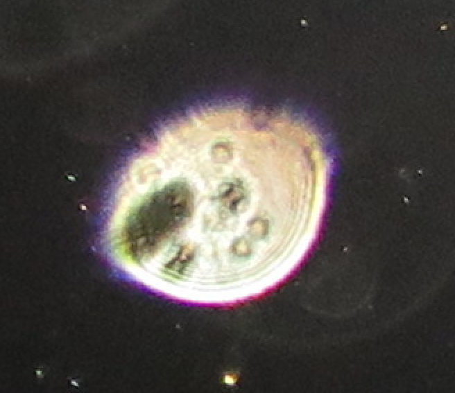 c0331825_15082296.png