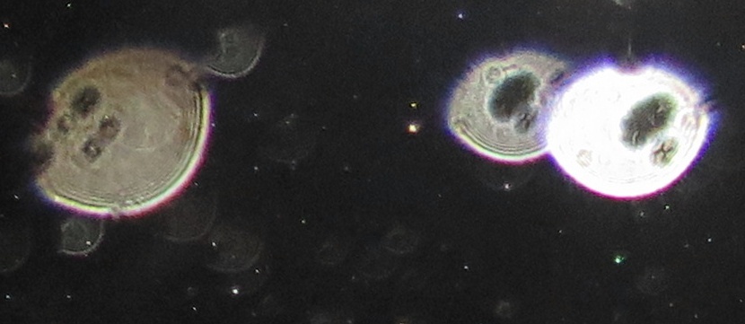 c0331825_15102553.jpg