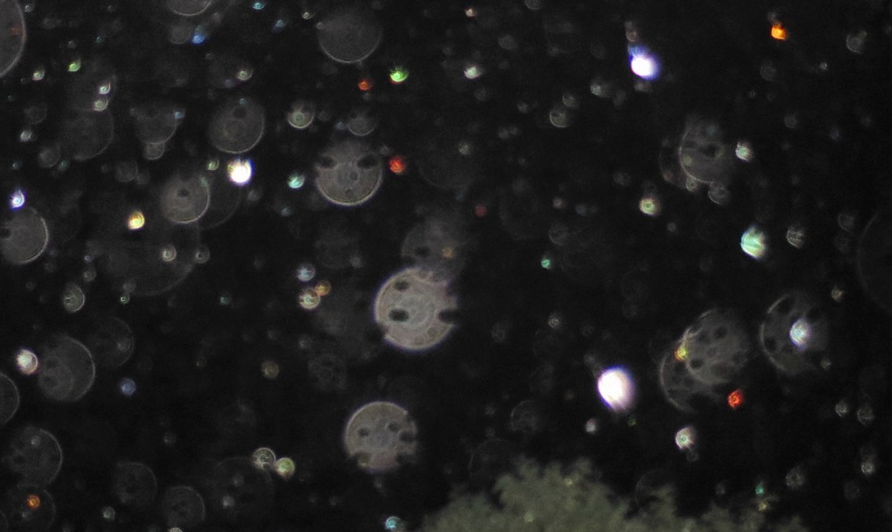 c0331825_16101904.jpg