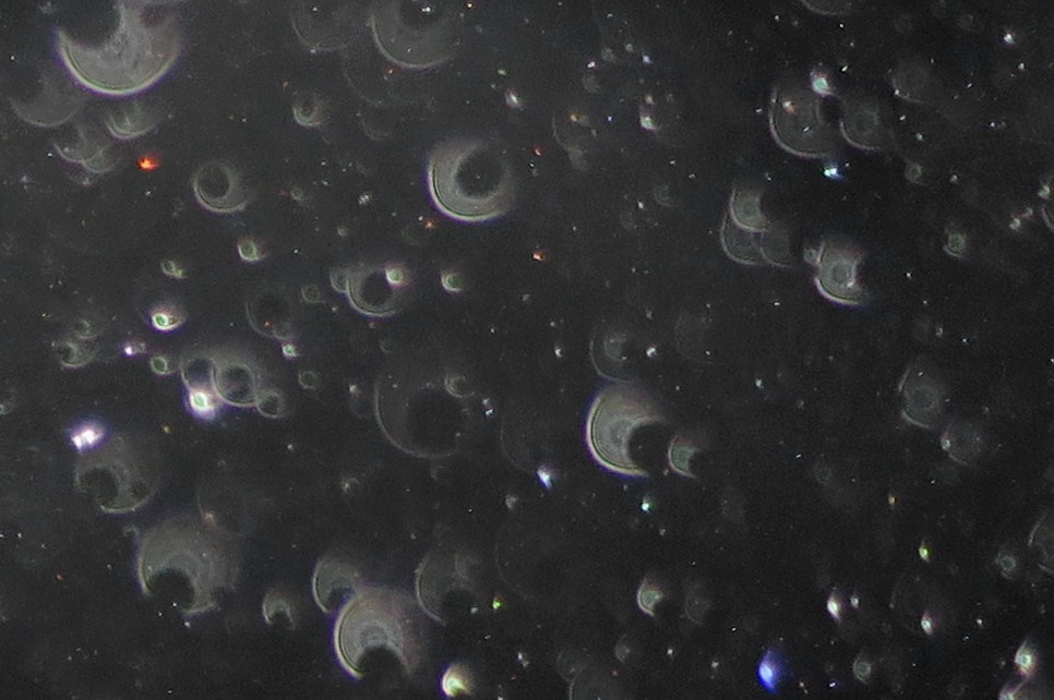 c0331825_16155392.jpg