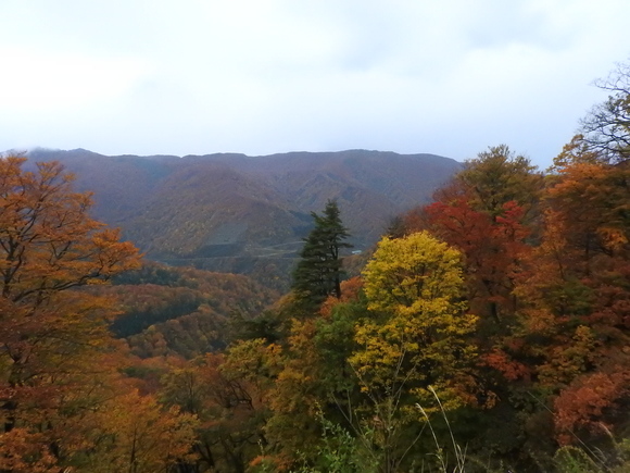 f0118332_23114682.jpg