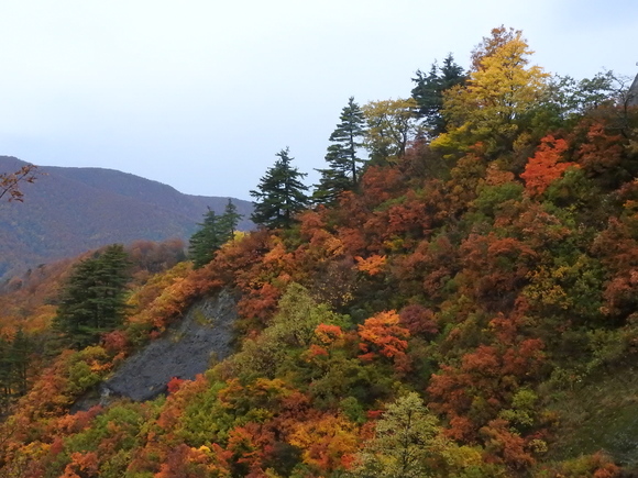 f0118332_23122642.jpg
