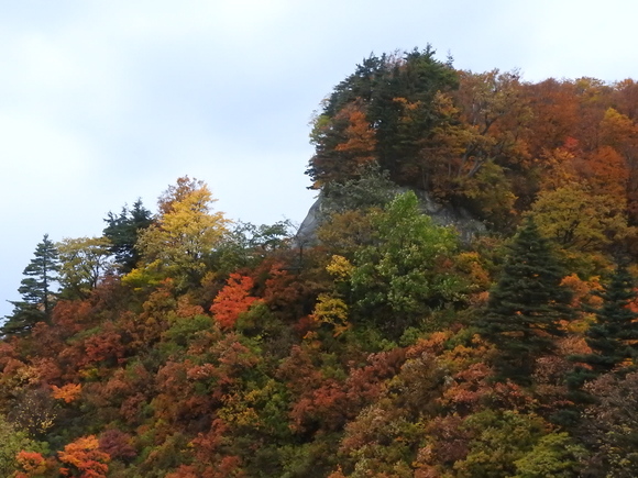 f0118332_2312899.jpg