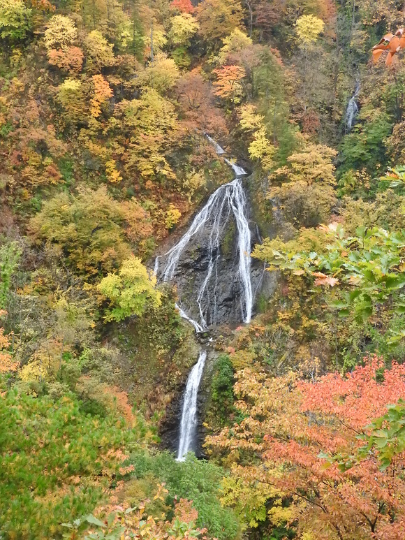 f0118332_23131769.jpg